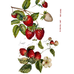 copy of 